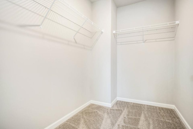 spacious closet with carpet floors