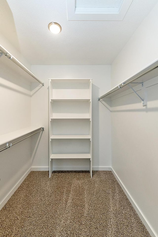 spacious closet featuring carpet floors