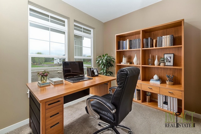 office space featuring light colored carpet