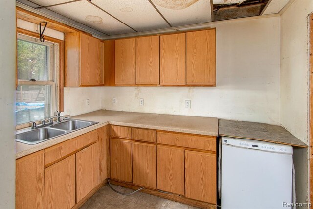 kitchen featuring white dishwasher and sink