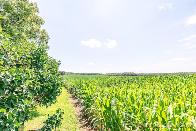 view of local wilderness with a rural view