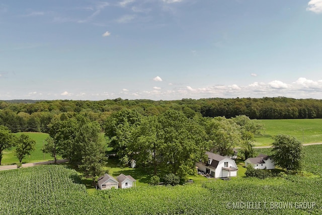 bird's eye view featuring a rural view