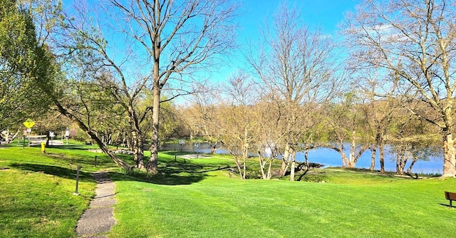 view of home's community featuring a water view and a lawn