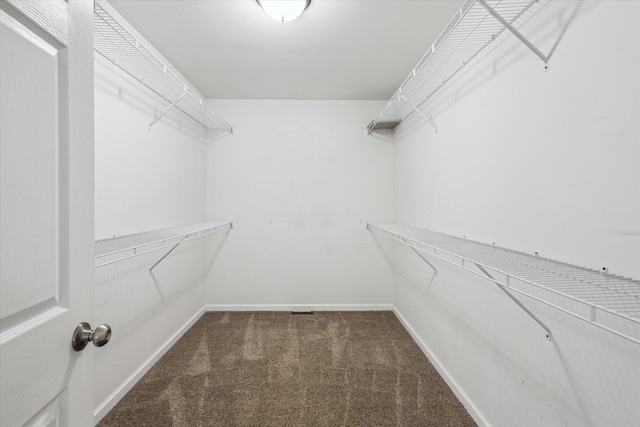 walk in closet featuring carpet floors