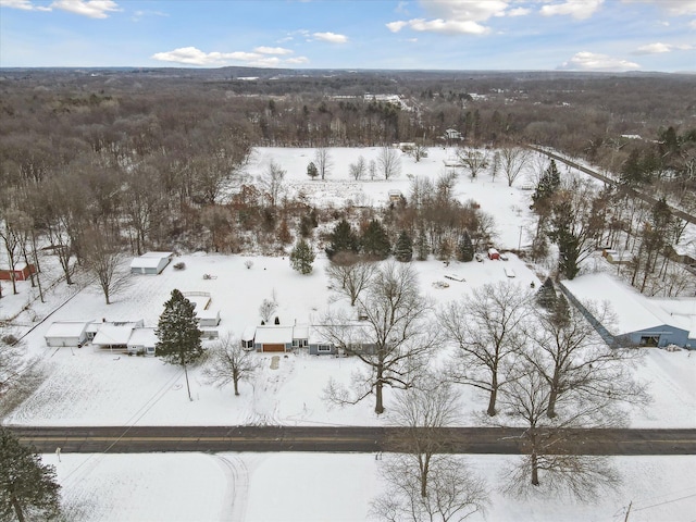 view of snowy aerial view