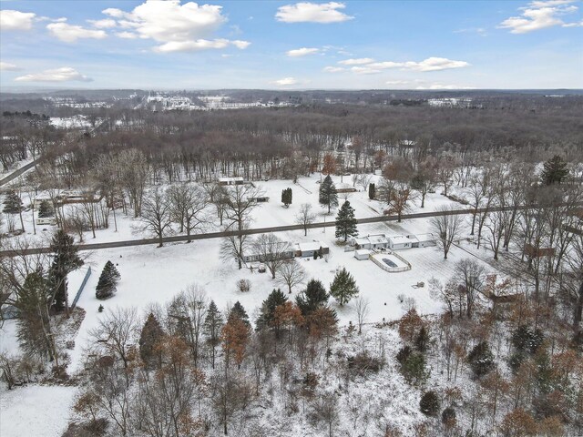 view of snowy aerial view