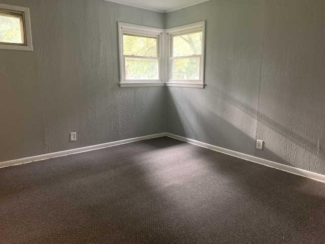 carpeted spare room featuring ornamental molding