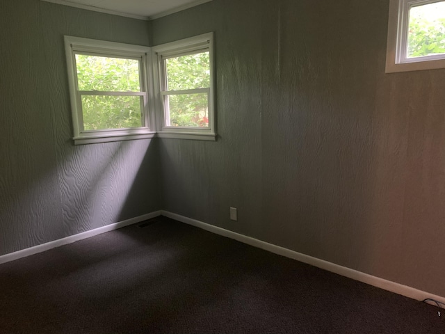 carpeted empty room with a healthy amount of sunlight and crown molding