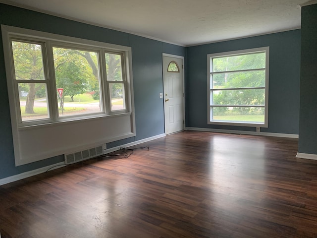 spare room with dark hardwood / wood-style flooring