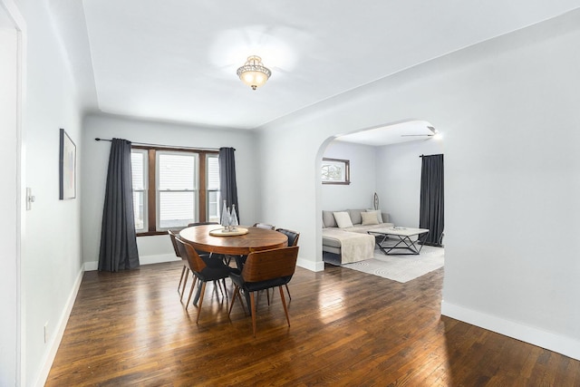 dining area with dark hardwood / wood-style floors and ceiling fan