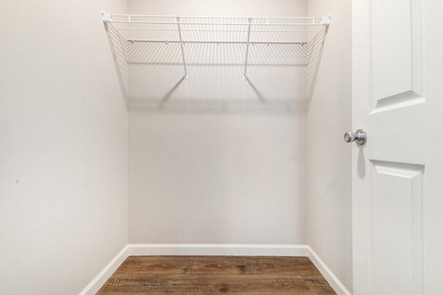 walk in closet with hardwood / wood-style flooring