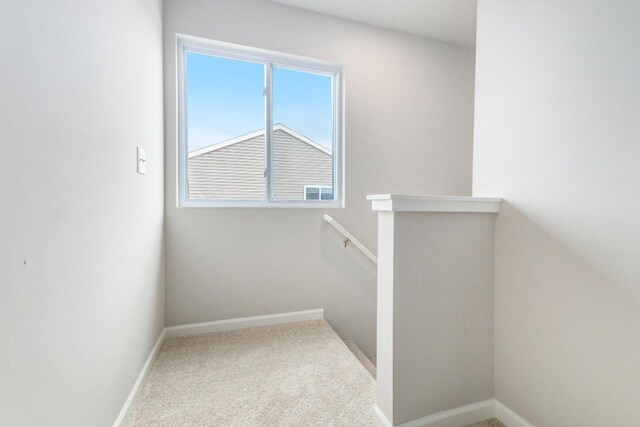 staircase featuring carpet flooring