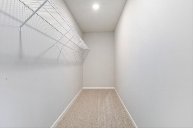 walk in closet featuring carpet floors