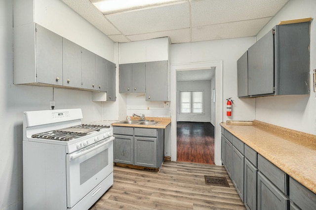 kitchen featuring sink, gray cabinetry, white range with gas stovetop, a drop ceiling, and light wood-type flooring