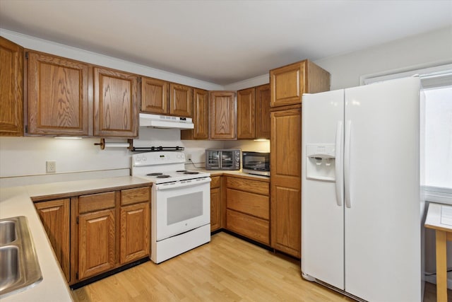 kitchen featuring light hardwood / wood-style floors, white appliances, and sink