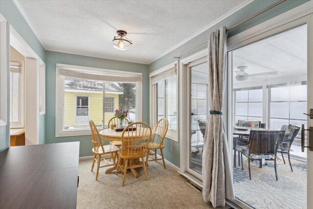 dining space featuring light carpet, ceiling fan, and a textured ceiling