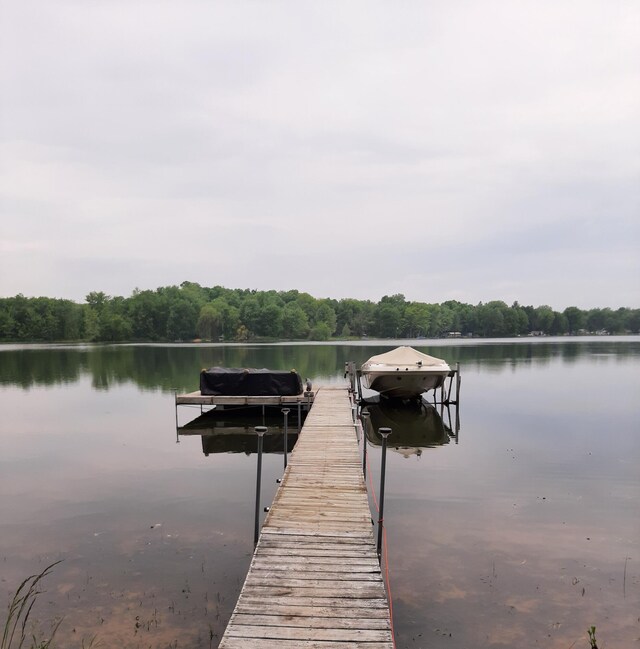 dock area with a water view