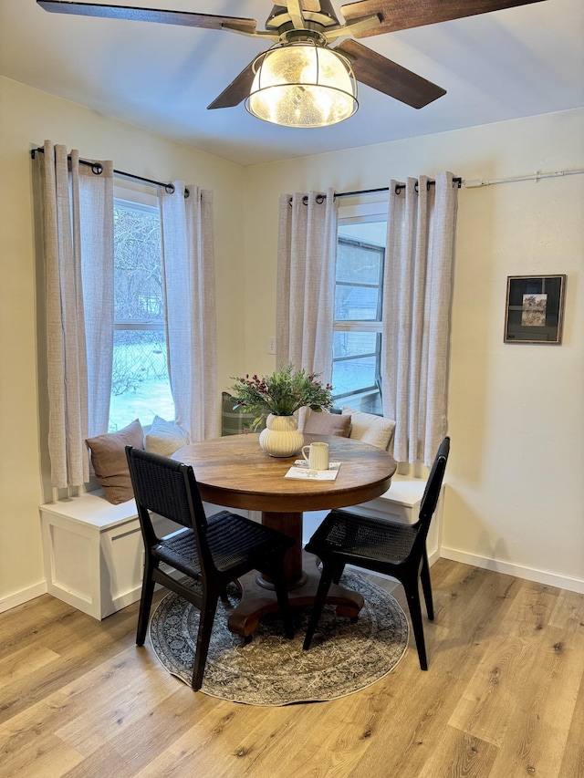 dining area with ceiling fan and light wood-type flooring