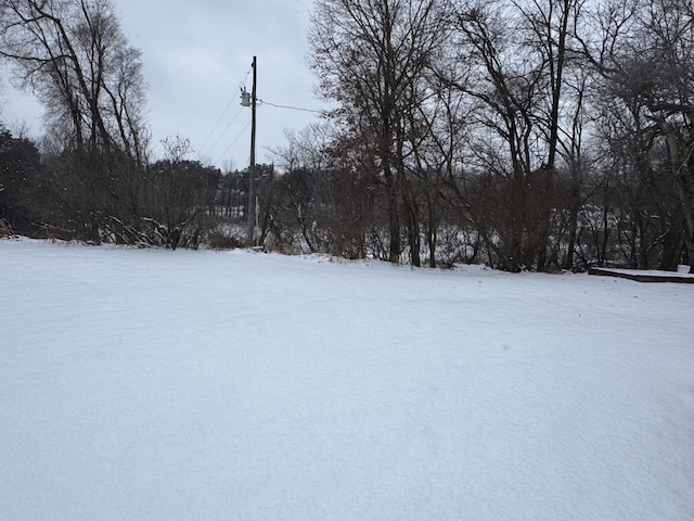 view of yard covered in snow