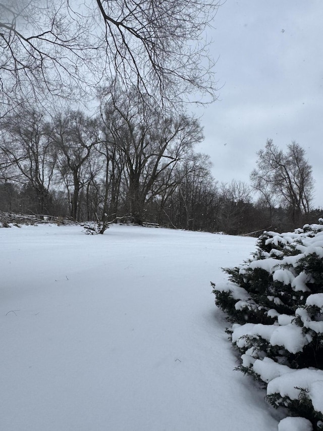 view of yard layered in snow