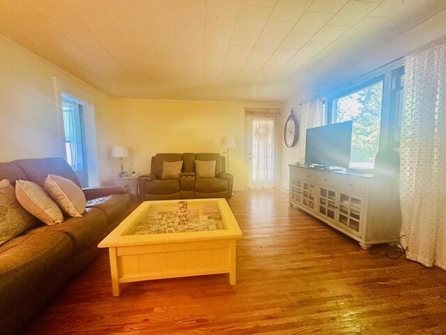 living room featuring hardwood / wood-style floors and a wealth of natural light