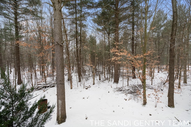 view of snowy landscape