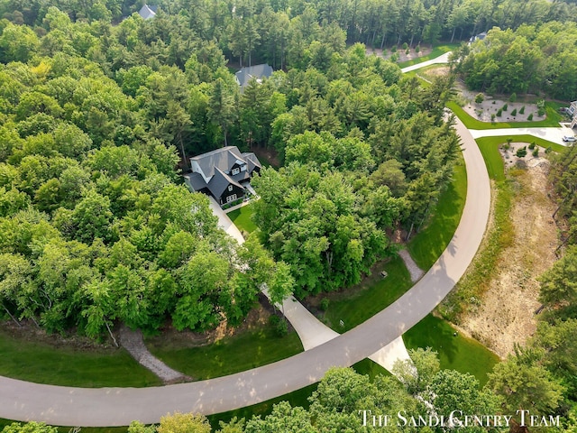 16500 Haven Woods Ct, West Olive, MI 49460 - aerial view of a heavily wooded area