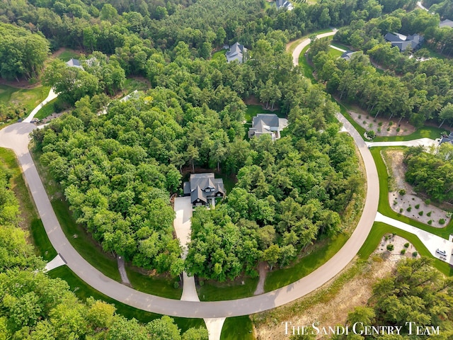 16500 Haven Woods Ct, West Olive, MI 49460 - bird's eye view of a forest