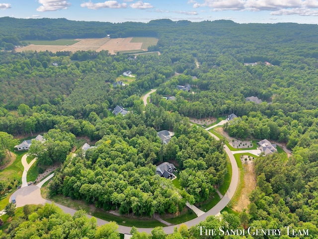 16500 Haven Woods Ct, West Olive, MI 49460 - bird's eye view of a heavily wooded area