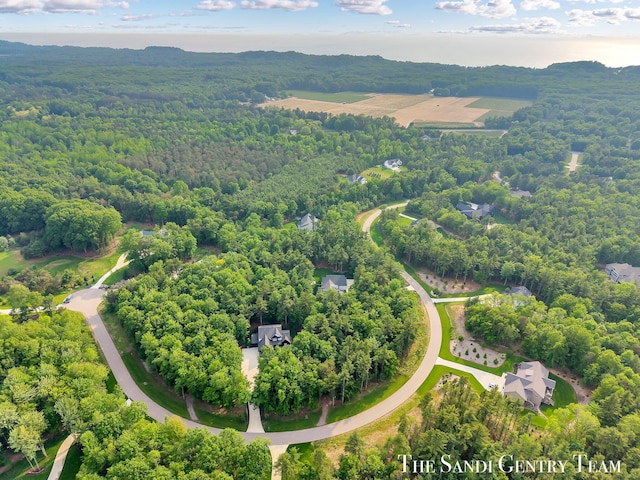 16500 Haven Woods Ct, West Olive, MI 49460 - view of property location featuring a forest