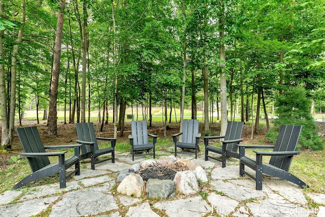 16500 Haven Woods Ct, West Olive, MI 49460 - view of property's community with an outdoor fire pit