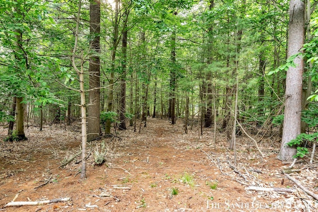 16500 Haven Woods Ct, West Olive, MI 49460 - view of tree filled area