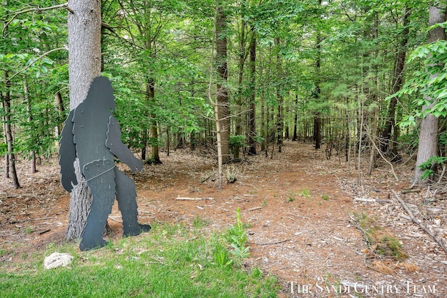 16500 Haven Woods Ct, West Olive, MI 49460 - view of local wilderness