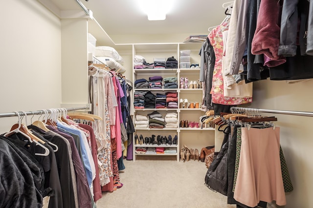 spacious closet with carpet
