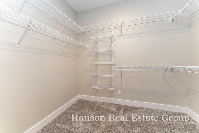 spacious closet featuring carpet flooring