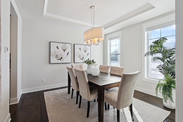 dining room with a raised ceiling, plenty of natural light, and dark wood-type flooring