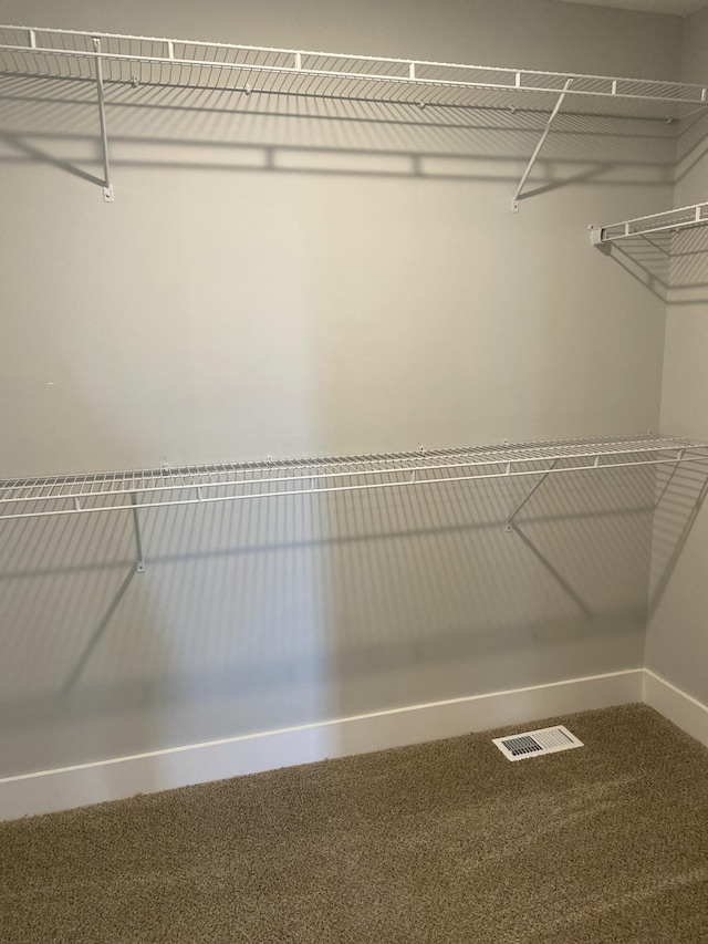 walk in closet with carpet floors