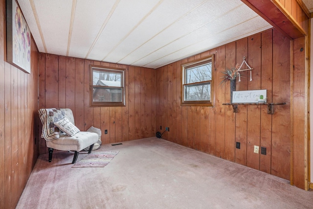 unfurnished room with a healthy amount of sunlight and wood walls