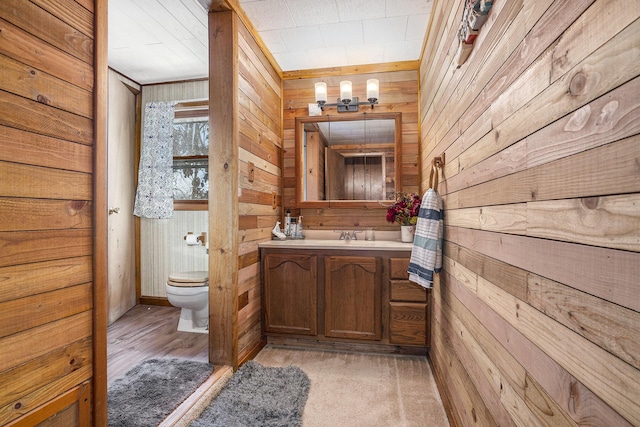 bathroom with vanity, toilet, and wooden walls