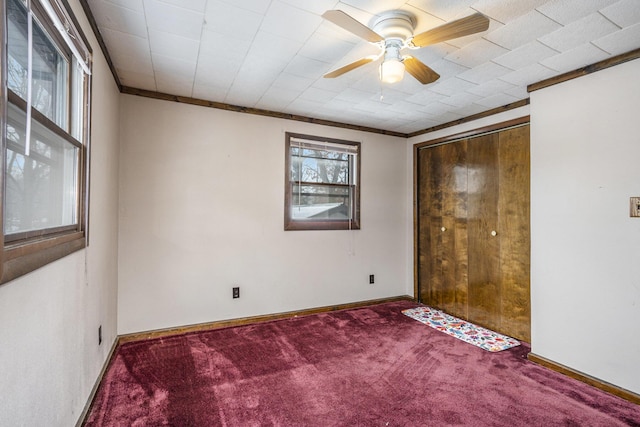 unfurnished bedroom featuring ceiling fan, a closet, carpet floors, and ornamental molding