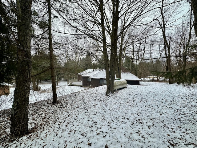 view of yard covered in snow