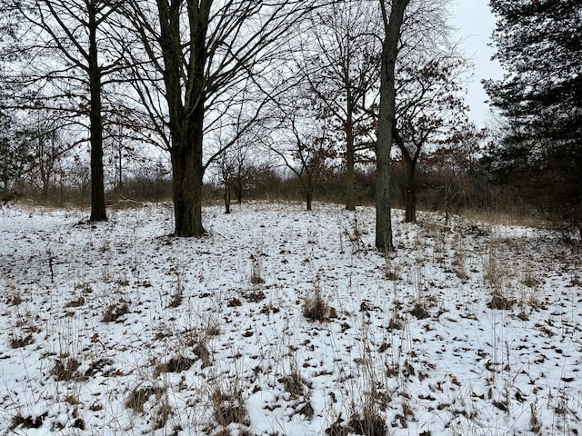 view of snowy landscape