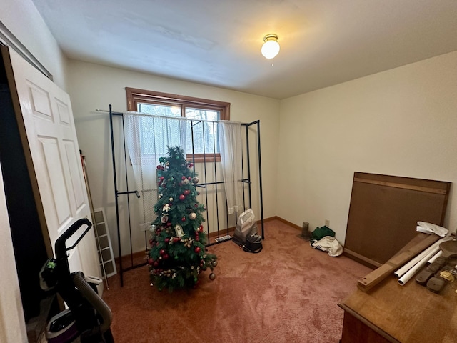 miscellaneous room featuring carpet floors