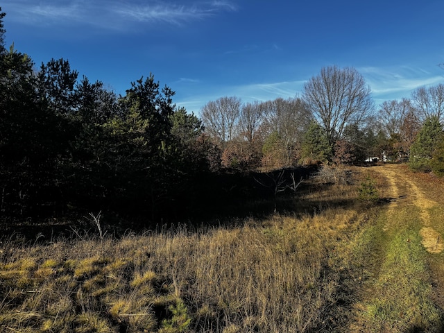 view of local wilderness