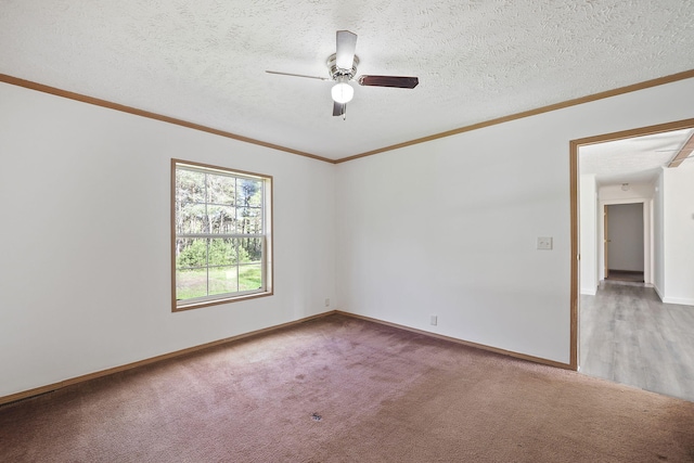 carpeted spare room with ceiling fan, crown molding, and a textured ceiling