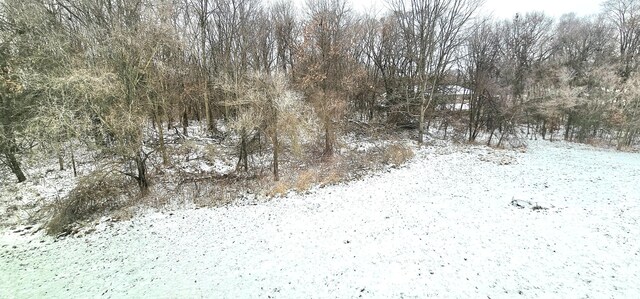 view of snowy landscape