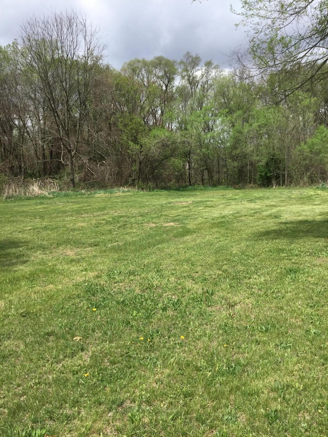 view of yard with a wooded view