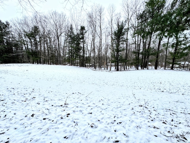 view of snowy yard