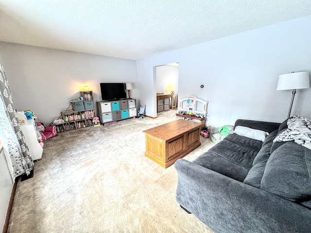 living room with carpet and a textured ceiling