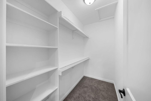 walk in closet with dark carpet